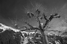 Wengen 09